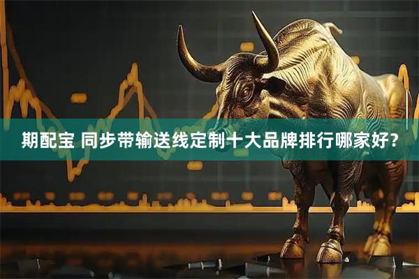 期配宝 同步带输送线定制十大品牌排行哪家好？
