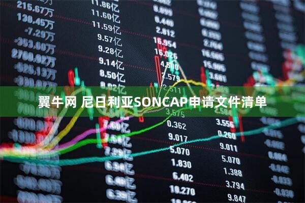 翼牛网 尼日利亚SONCAP申请文件清单