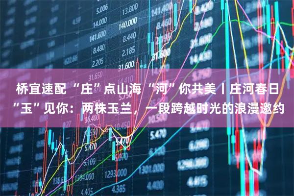 桥宜速配 “庄”点山海 “河”你共美丨庄河春日“玉”见你：两株玉兰，一段跨越时光的浪漫邀约