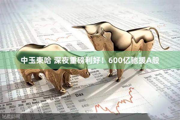 中玉束哈 深夜重磅利好!600亿驰援A股