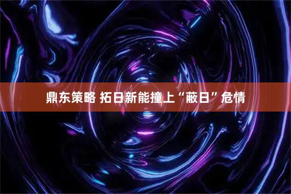 鼎东策略 拓日新能撞上“蔽日”危情
