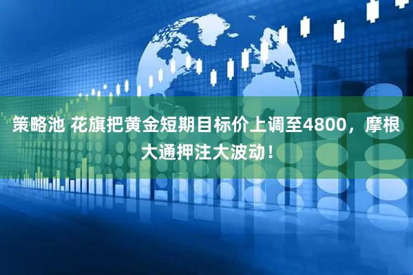 策略池 花旗把黄金短期目标价上调至4800,摩根大通押注大波动!